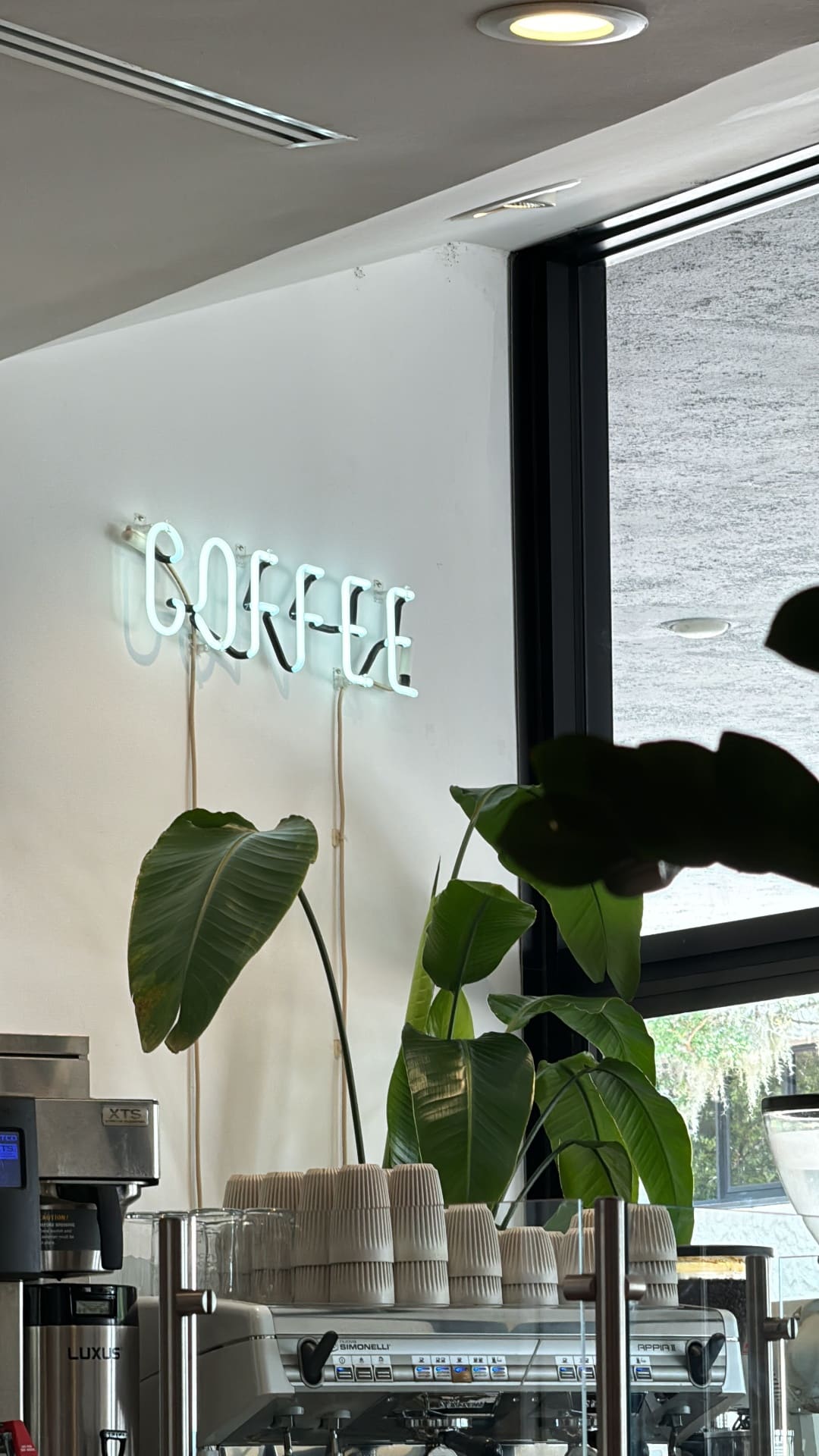 Coffee Club, cowork space time ✦ rotating local cafés