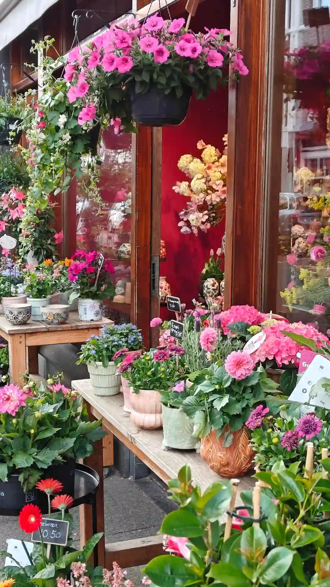 Flower boutique interior styled for a shoot
